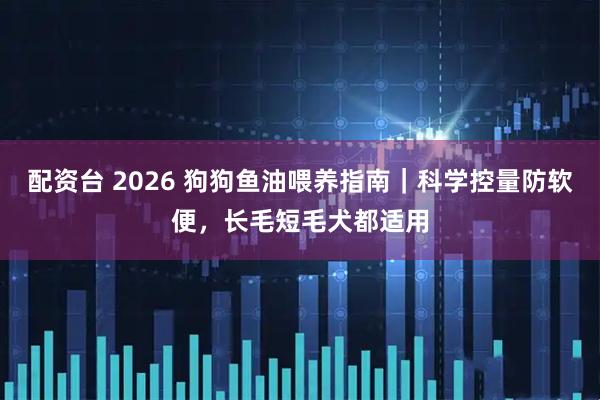 配资台 2026 狗狗鱼油喂养指南|科学控量防软便,长毛短毛犬都适用