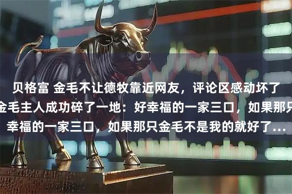 贝格富 金毛不让德牧靠近网友,评论区感动坏了,结德牧才是自家狗…金毛主人成功碎了一地:好幸福的一家三口,如果那只金毛不是我的就好了…