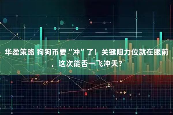 华盈策略 狗狗币要“冲”了！关键阻力位就在眼前，这次能否一飞冲天？