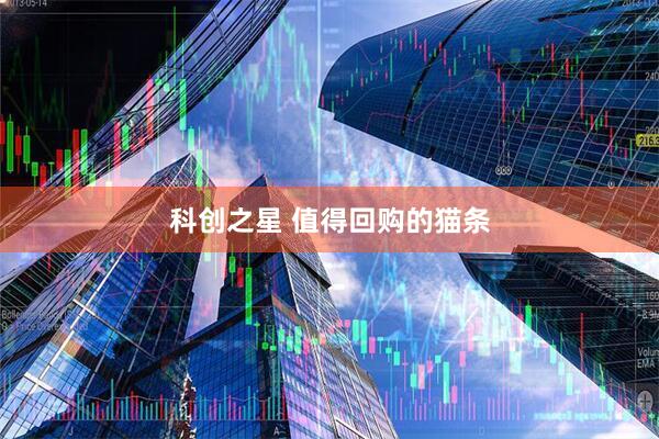 科创之星 值得回购的猫条